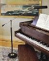 46000-sml.jpg