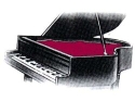 co-s-29-sml.jpg