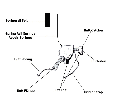 Ass diagram, female porn fitness