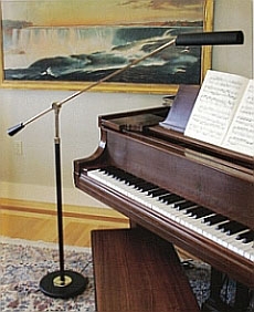 Piano Counterbalance Floor Lamp Piano Counterbalance Floor Lamp